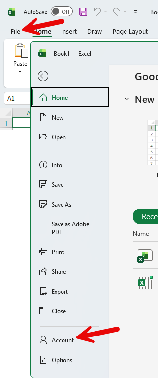 Excel File menu showing Account button